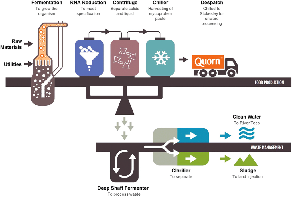 Schematic showing the Quorn process for continuous production of mycoprotein