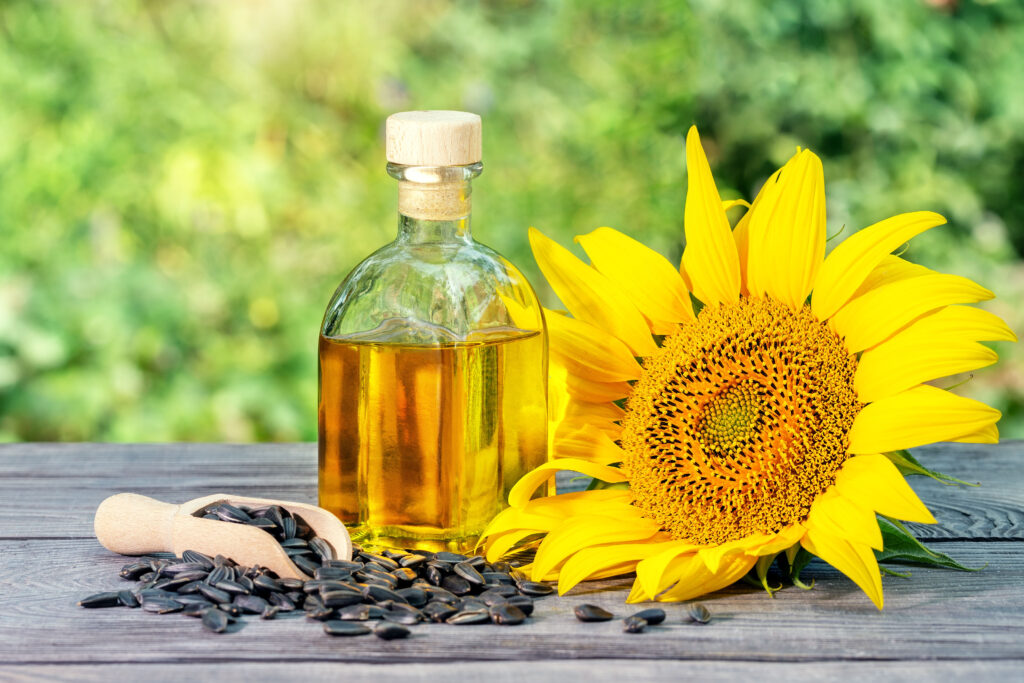 Bottle of high oleic sunflower oil and sunflower flowers with seeds on a wooden table